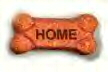 Dog Bone1
